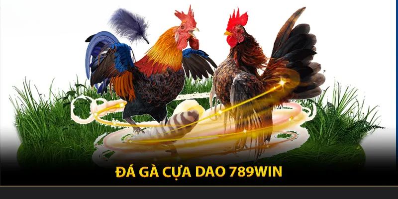 Đá Gà Cựa Dao 789Win - Tổng Hợp Các Trận Đấu Kịch Tính